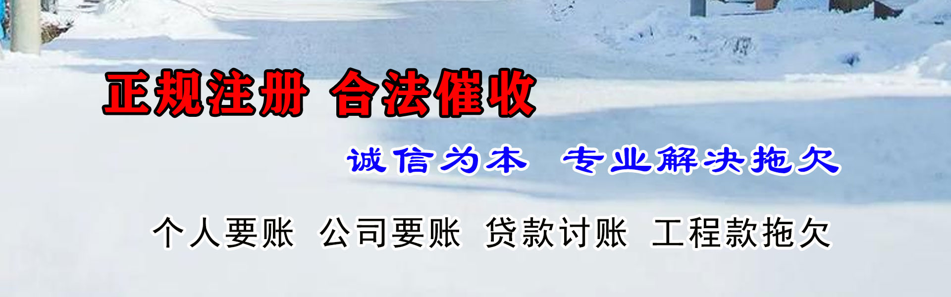 界首追账公司